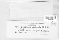 Image Associated With the Occurence